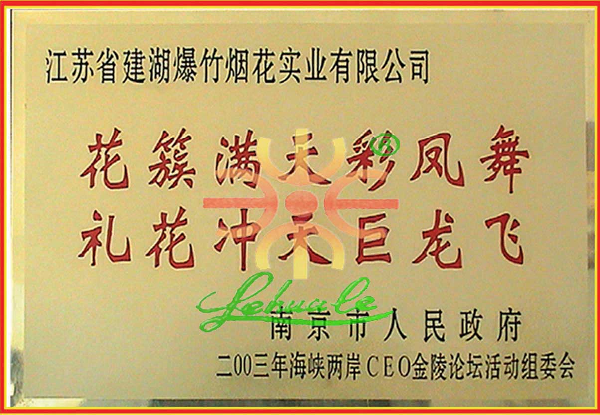 Cross-strait CEO Jingling Forum on Sep. 14, 2003, Nanjing China