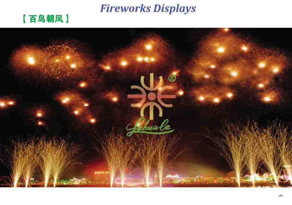 Fireworks Display Effect 14