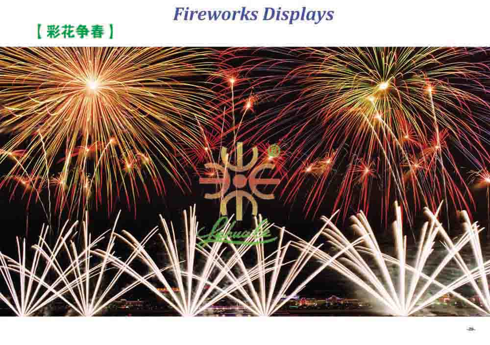 Fireworks Display Effect 19