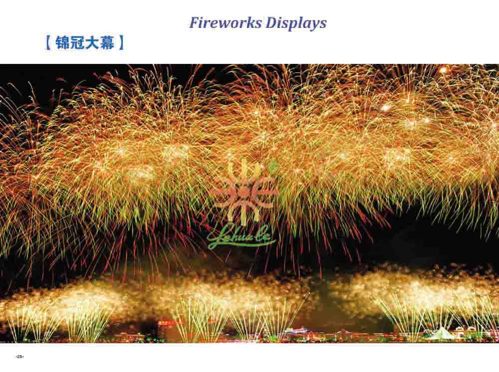 Fireworks Display Effect 20