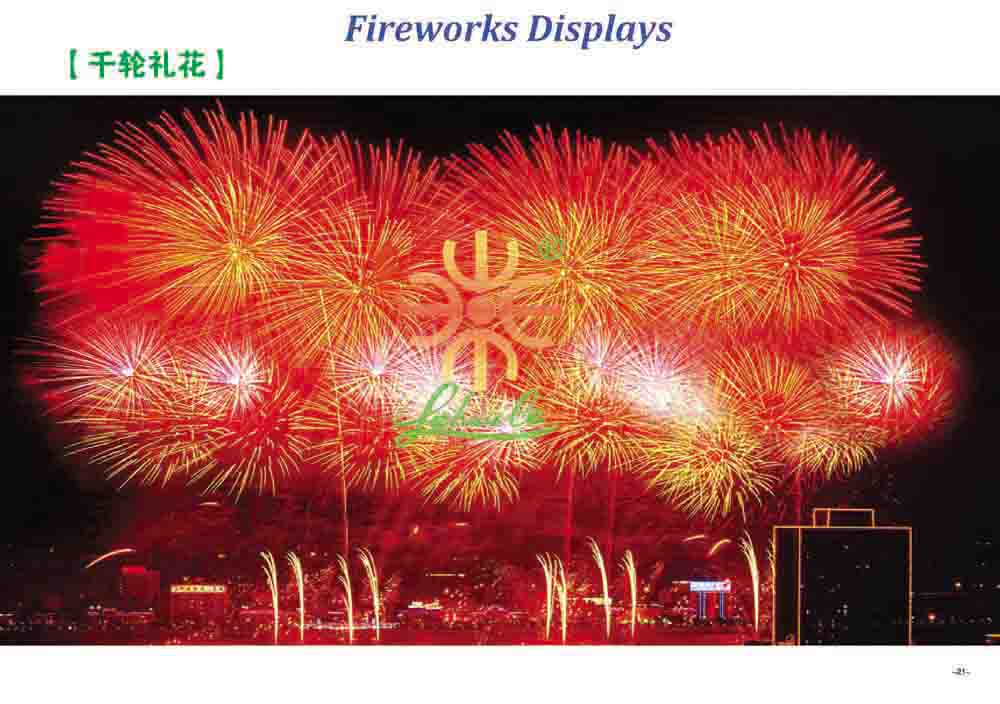 Fireworks Display Effect 21